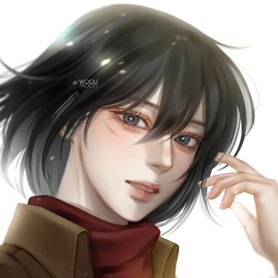 Levi_steal30cm의 미카사 아커만