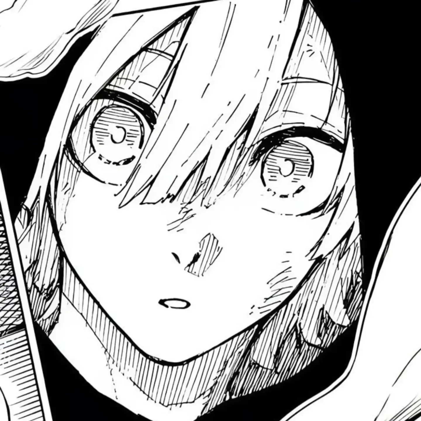 Dragonpongi의 11월 11일