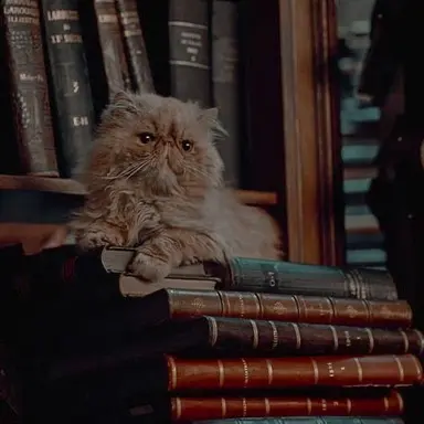 Profile image of Hermione Granger