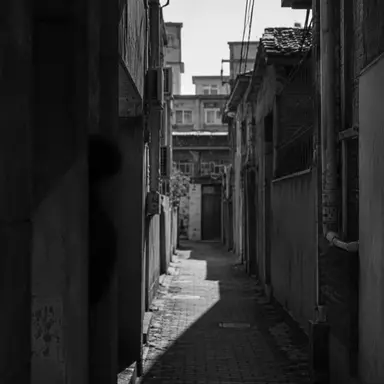 Profile image of 影