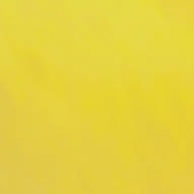 Profile image of 国見の親