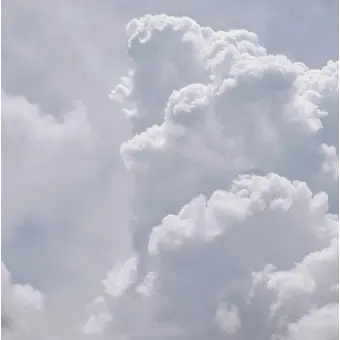 Profile image of 진아
