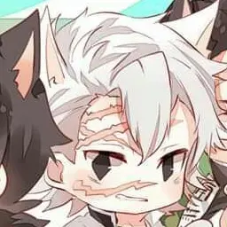 Profile image of 시나즈가와 사네미