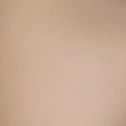 스키즈f8