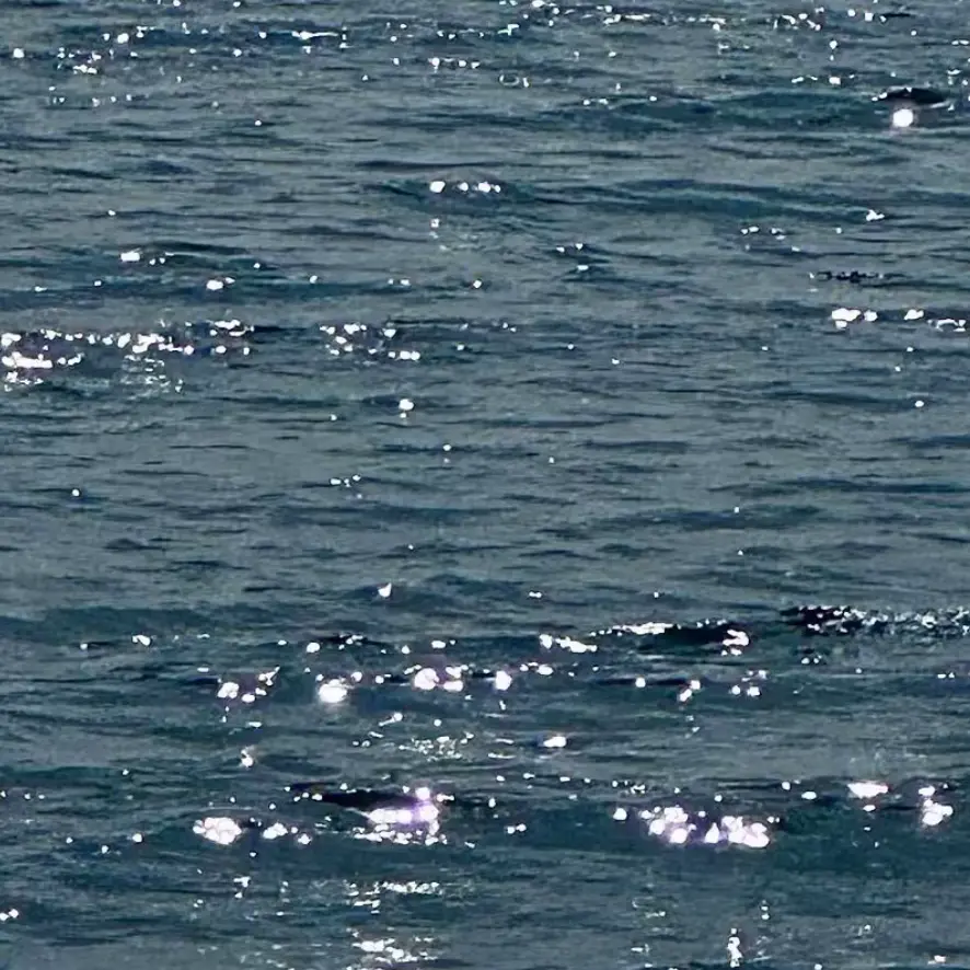 SoftKrill3021의 바닷바람과 함께 와…