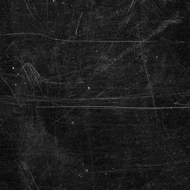 Profile image of 제인