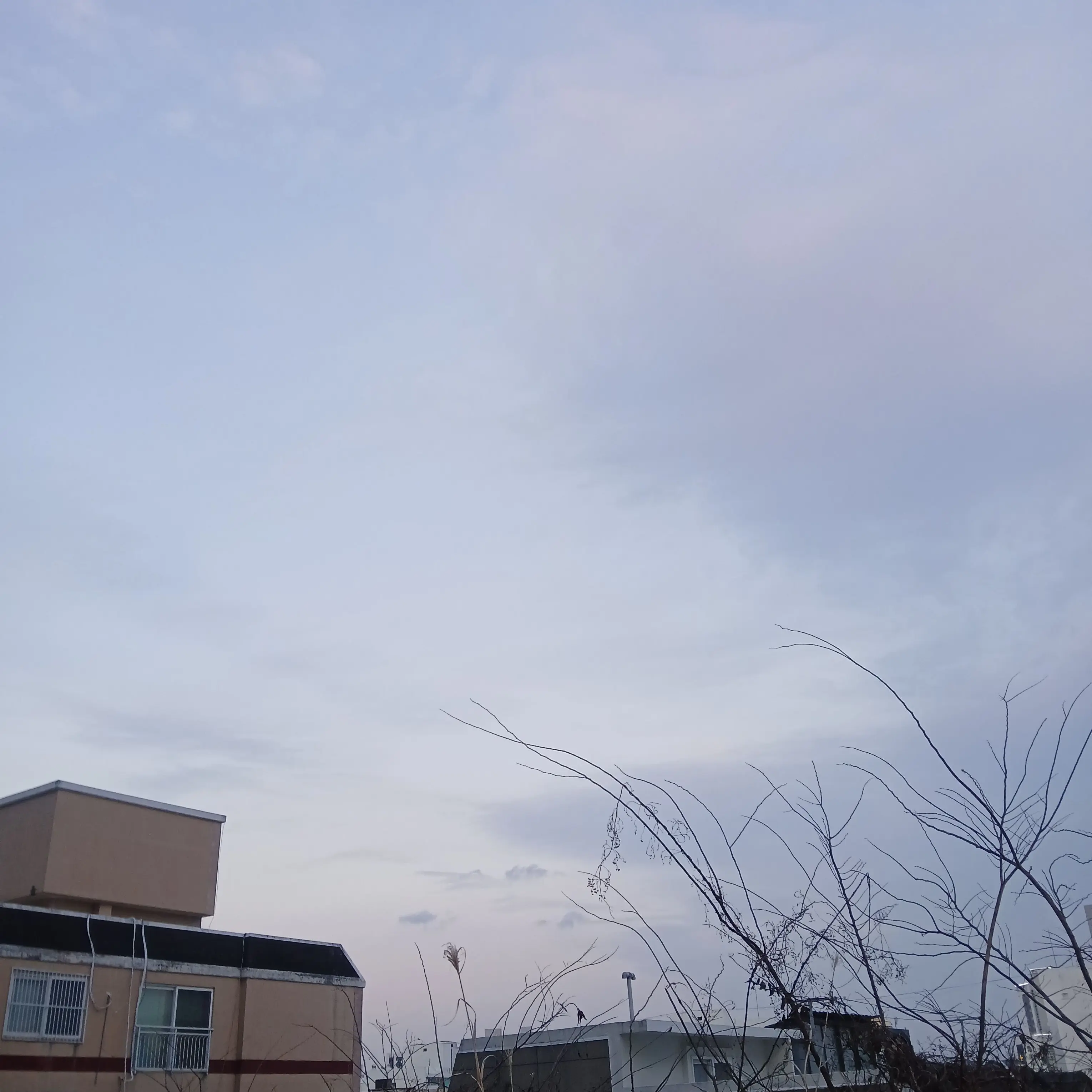 FolksyChime3893의 유저 초세여 공룡