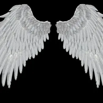 Profile image of 신