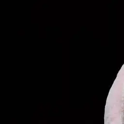 Profile image of 조원상