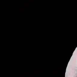 Profile image of 신광일