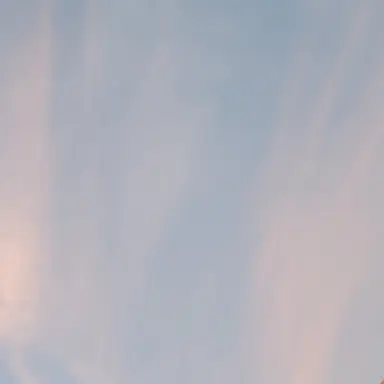 Profile image of 필립