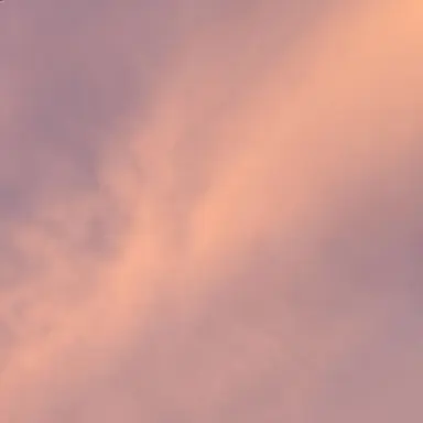 Profile image of 라더