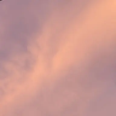 Profile image of 또니