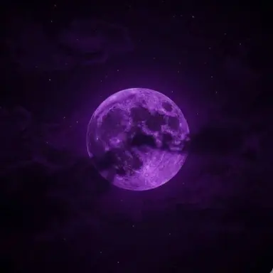 Profile image of 멜로우