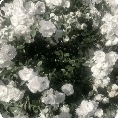 Profile image of 선생님