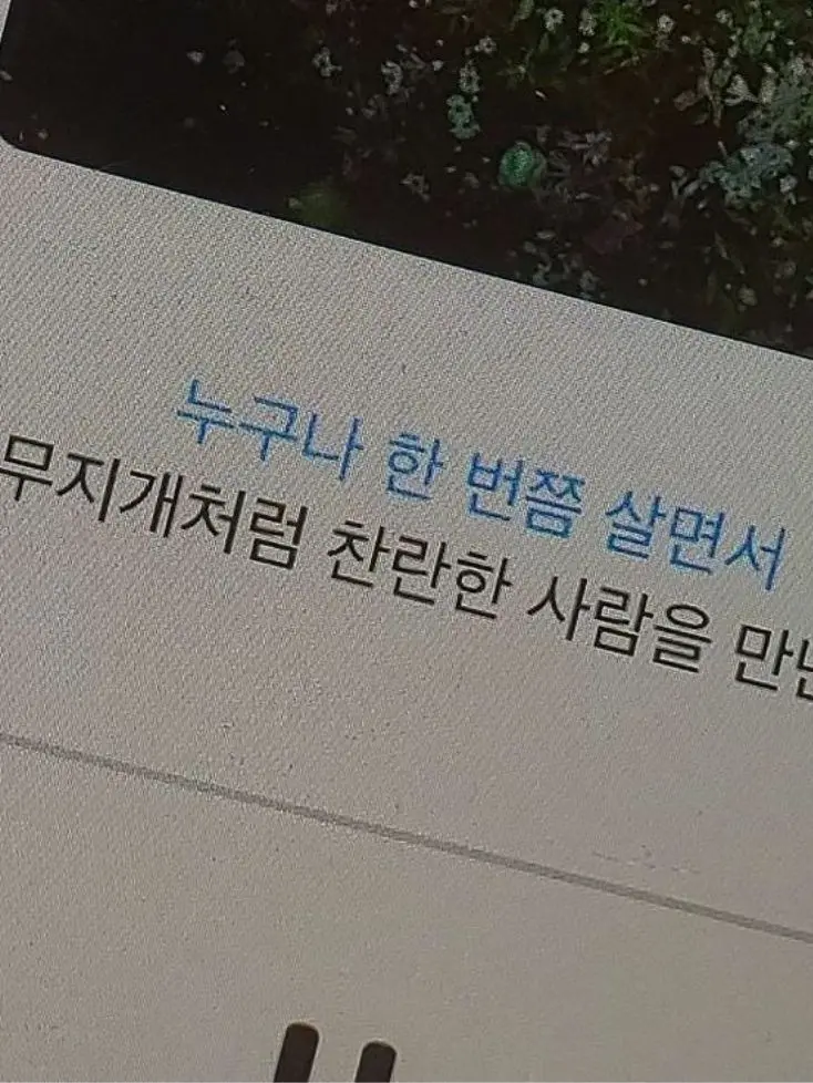 2.lao의 月が綺麗ね - 팀나빠