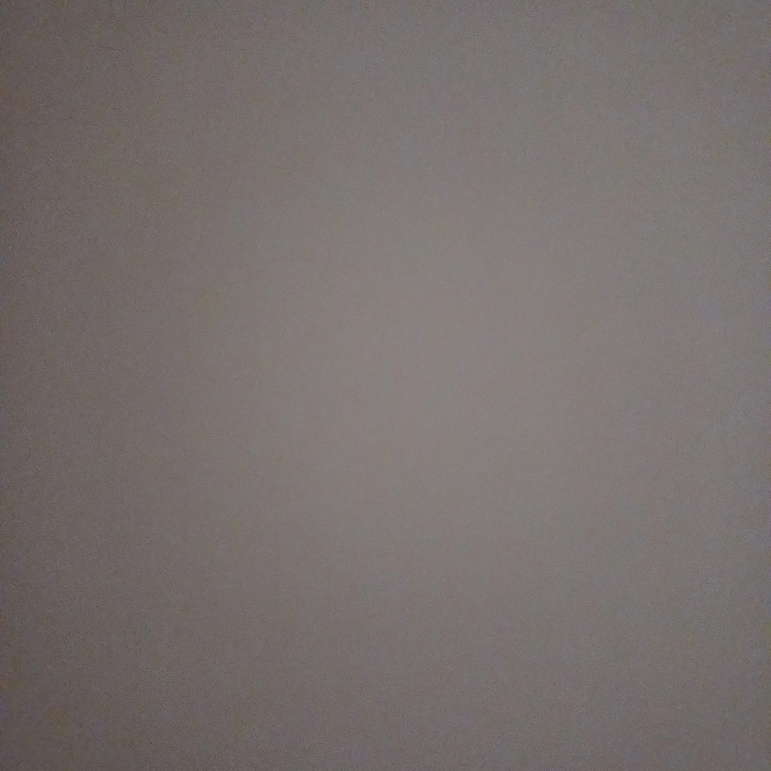 싸움독학