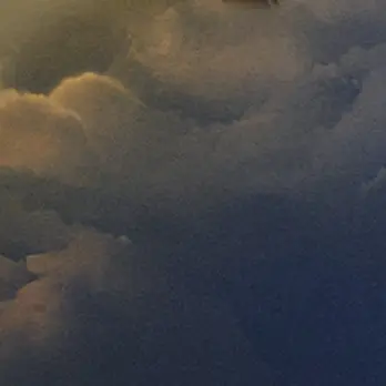 Profile image of 박성호