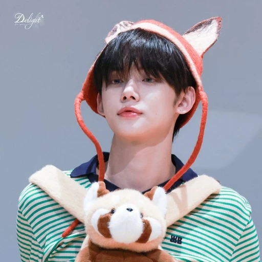 범규