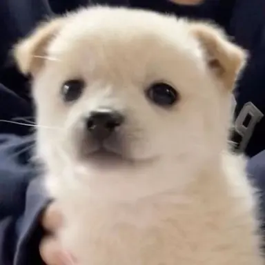 Profile image of 김민정