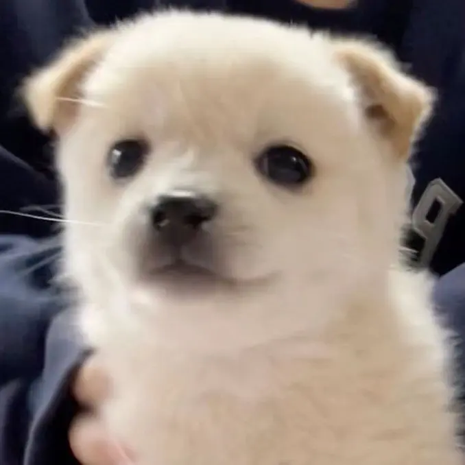 Probably5의 김민정