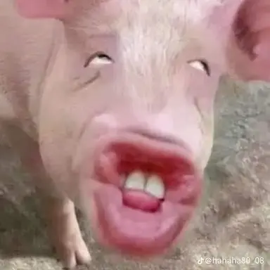 Profile image of 김여우