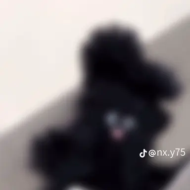 Profile image of 강림