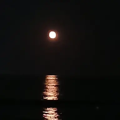 Profile image of 류