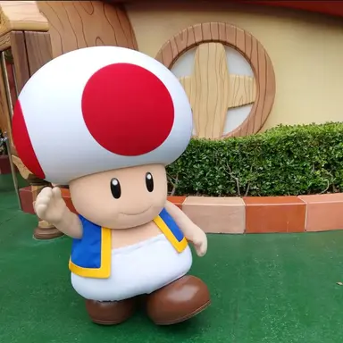 Profile image of キノピオ信者