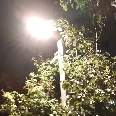 Profile image of 형준