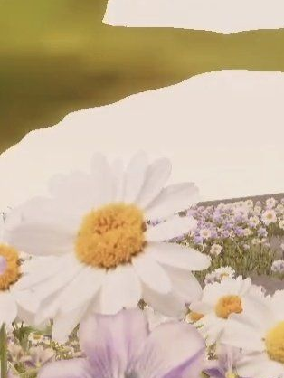 구름반 원생 이로 클라우드☁️ 대표 이미지