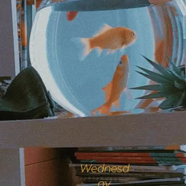 Profile image of ㄱㄷㅎ