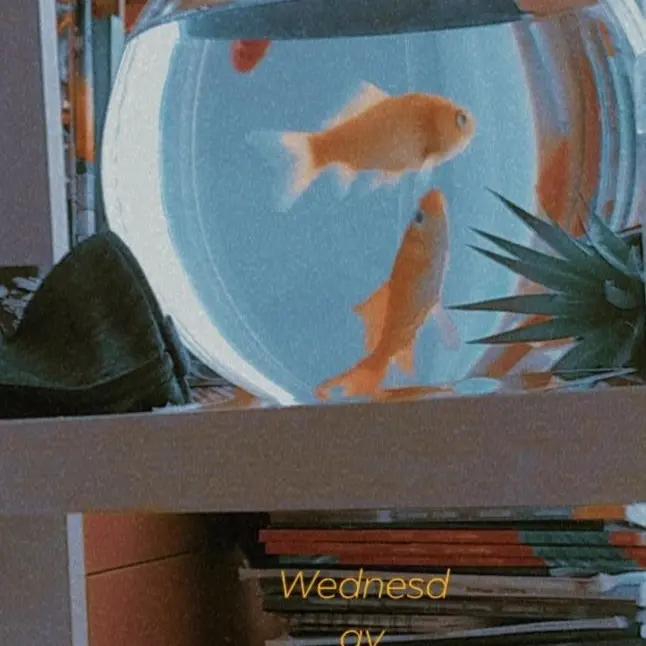 seventeenboynextdooridnttlover의 정략결혼 ver.2