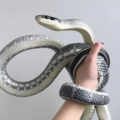 Profile image of 한새벽