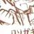 城之内