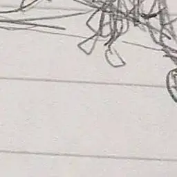 Profile image of 韓国