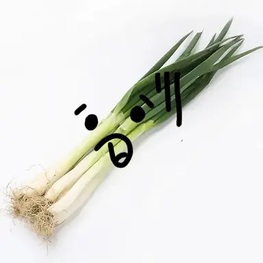 Profile image of 대파