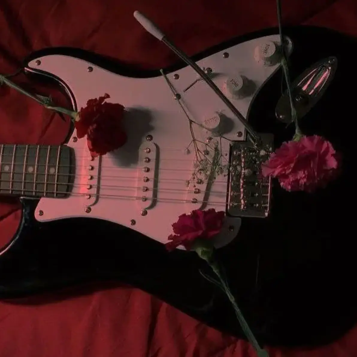 FloralVirus4144의 플래그