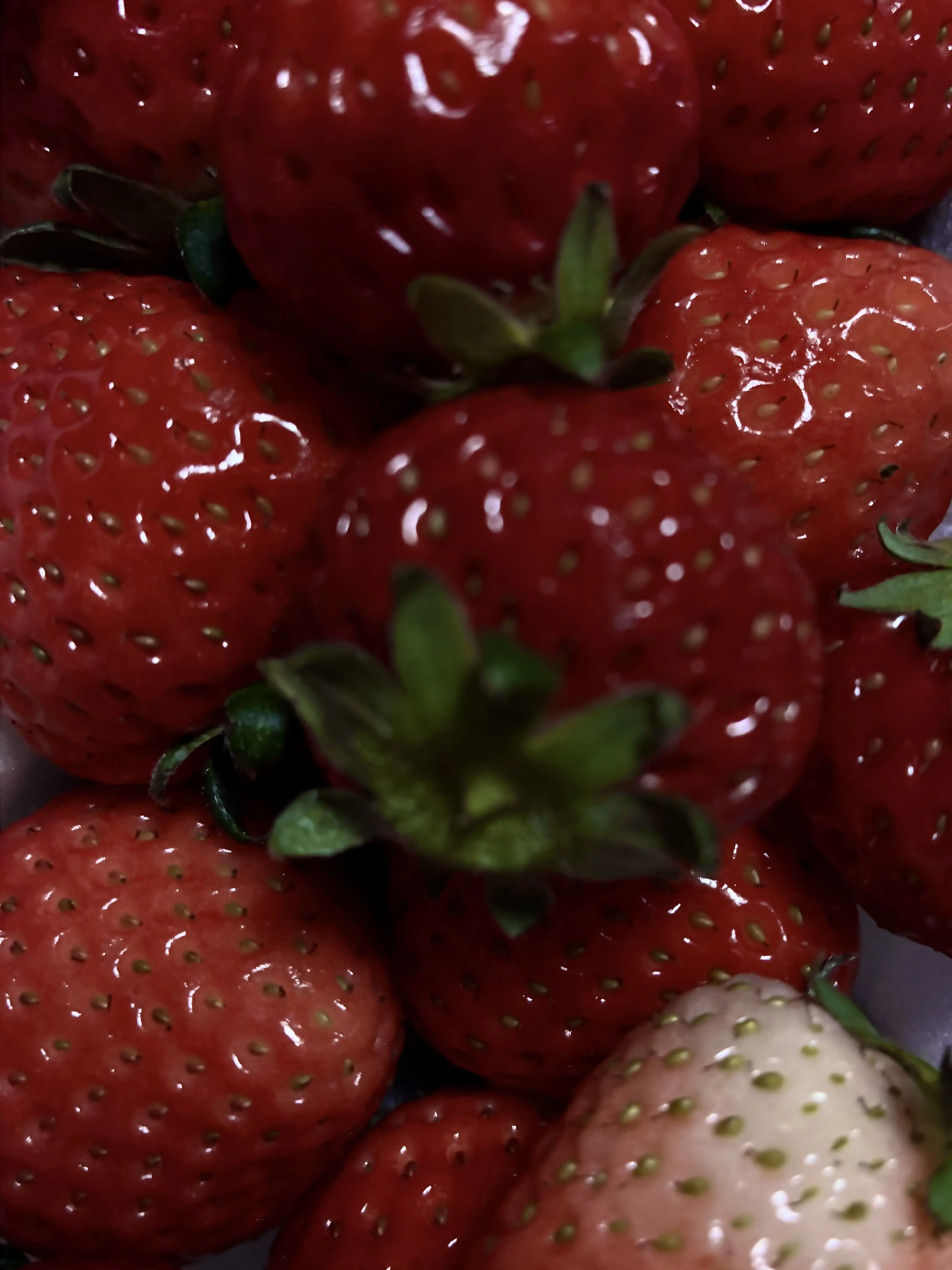 i3k.qm의 おにロリ