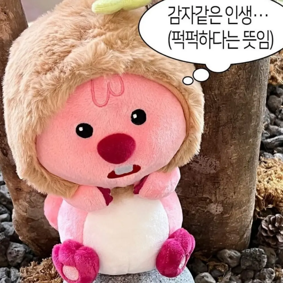 Cute_Yoonji의 고고프렌즈