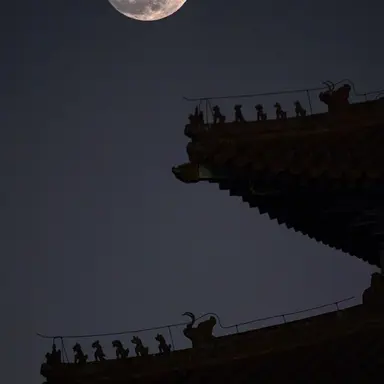 Profile image of 진현