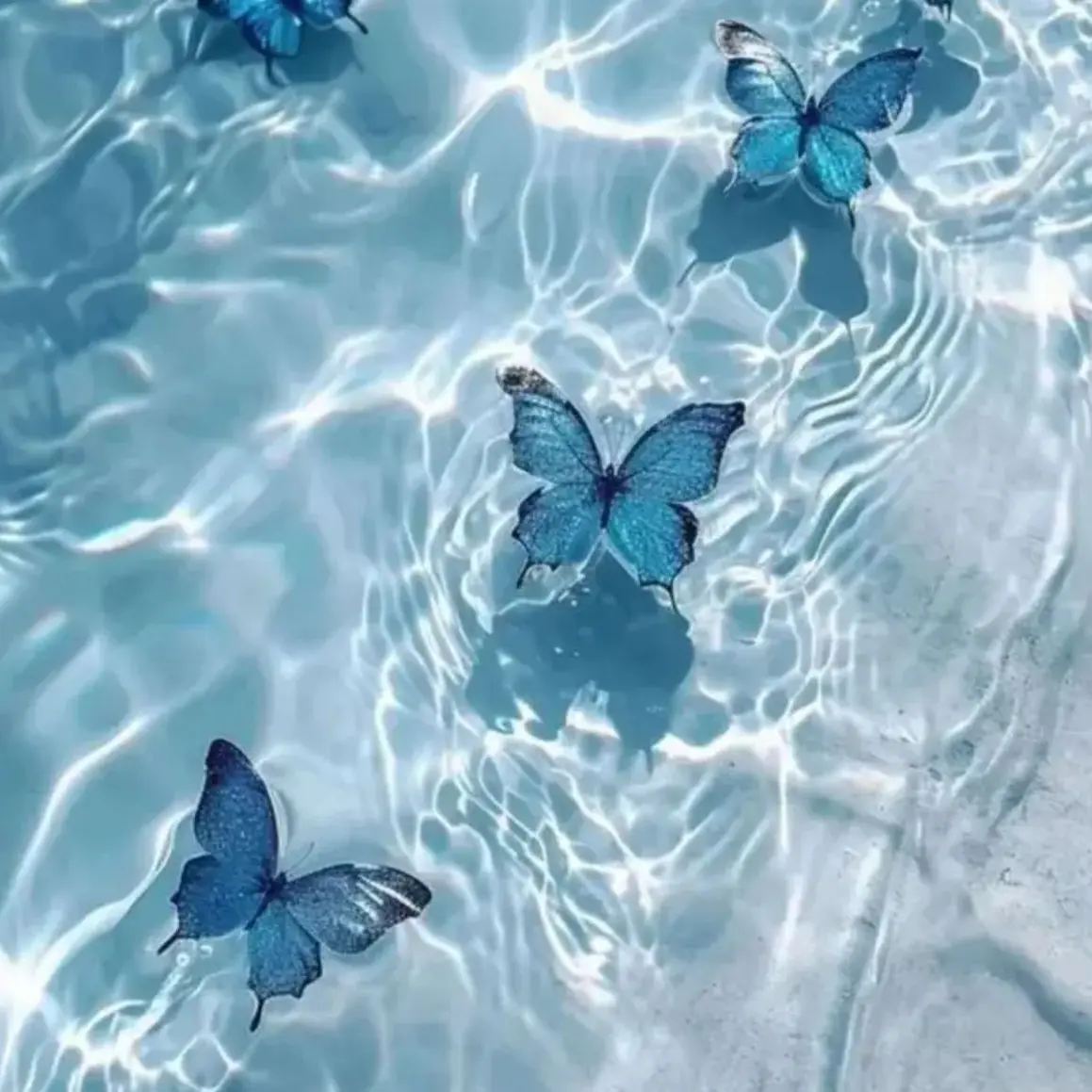 OpenReef9463의 남예준