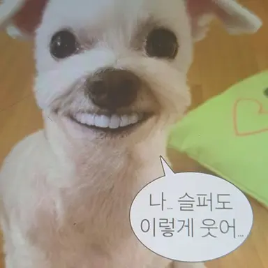 Profile image of 김늑대