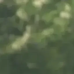 이지훈