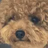Profile image of 팀 나빠