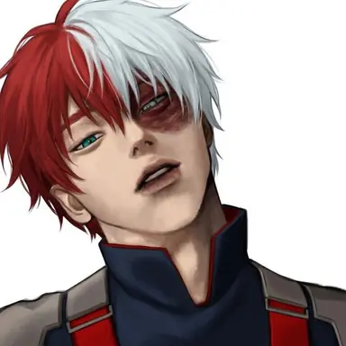 Profile image of Todoroki