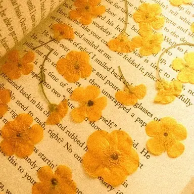 Profile image of 김각별