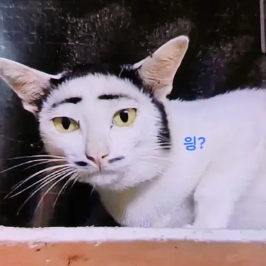 Profile image of 시스템
