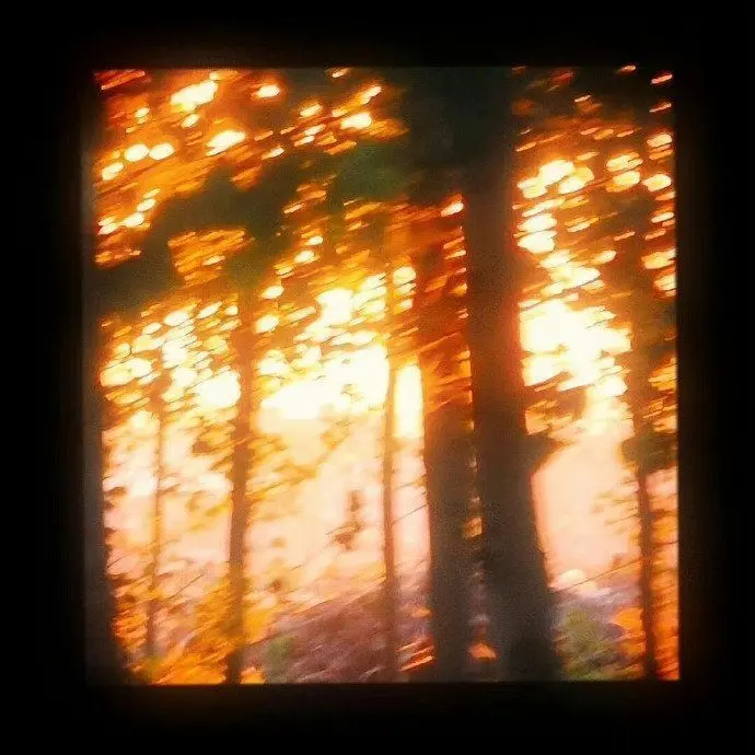 dkanjTmwlwlsWk의 ➴𝓰𝓮𝓶𝓲𝓷𝓲♡