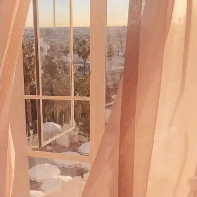 Jfggh의 {{🐹 하루토 🐹}}